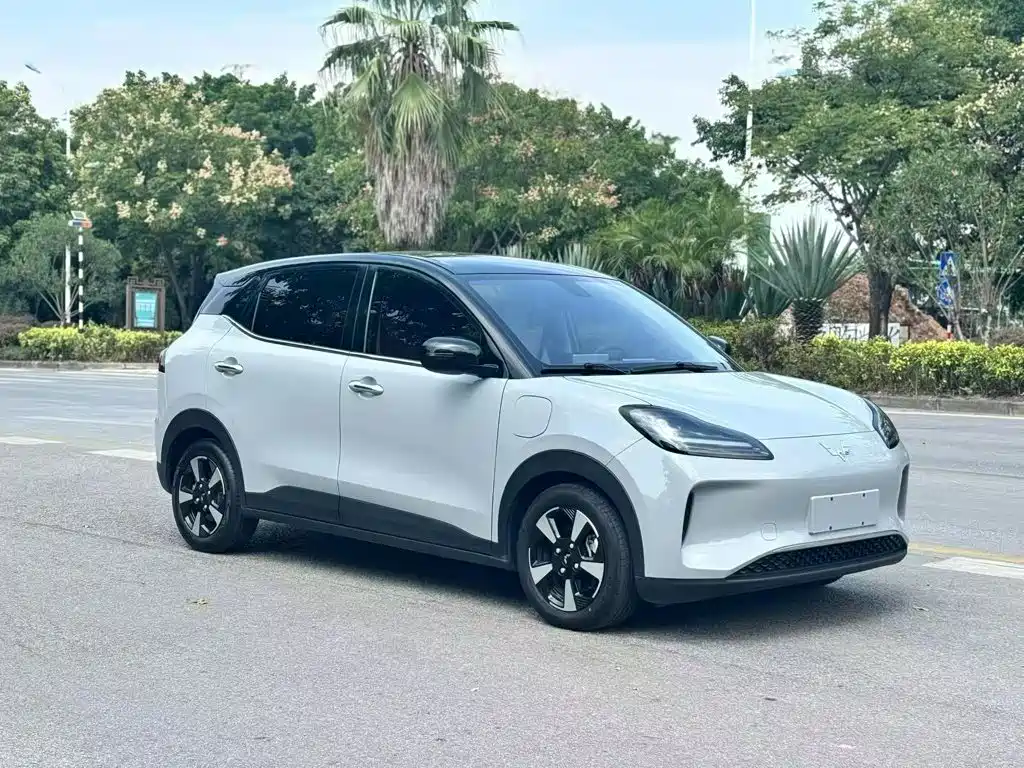 Wuling Motors Wuling Binguo PLUS 2024 2024 401km Range 5-seater