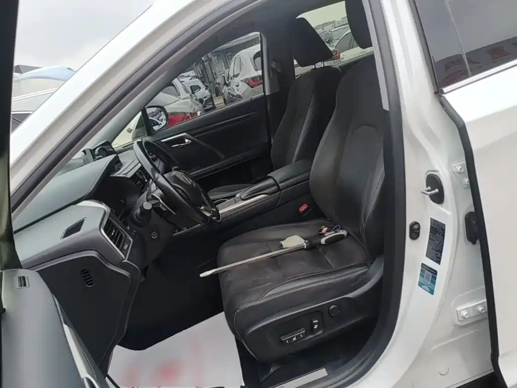 Фото 15 - Lexus RX