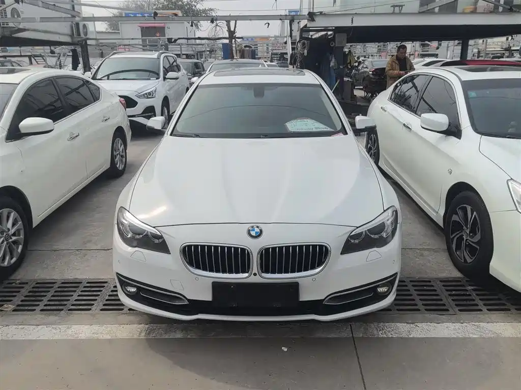 BMW 5 Series 2014 520Li Elegance фото 25