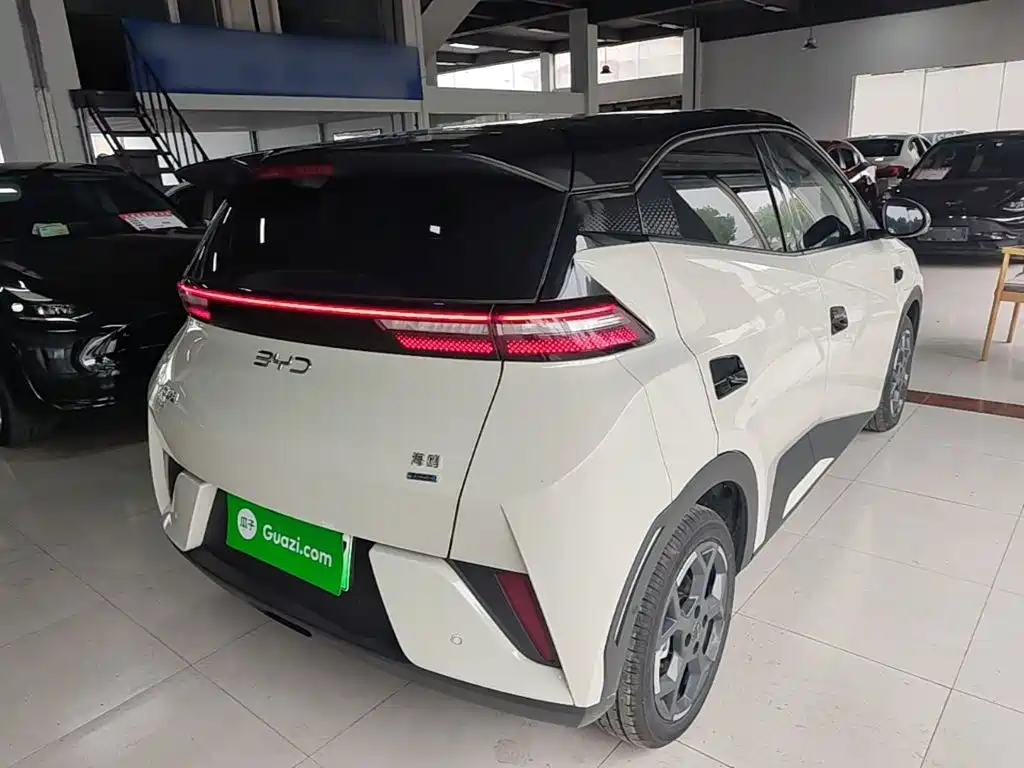 BYD Seagull 2026 2025 Smart Drive Edition 305km Freedom Version