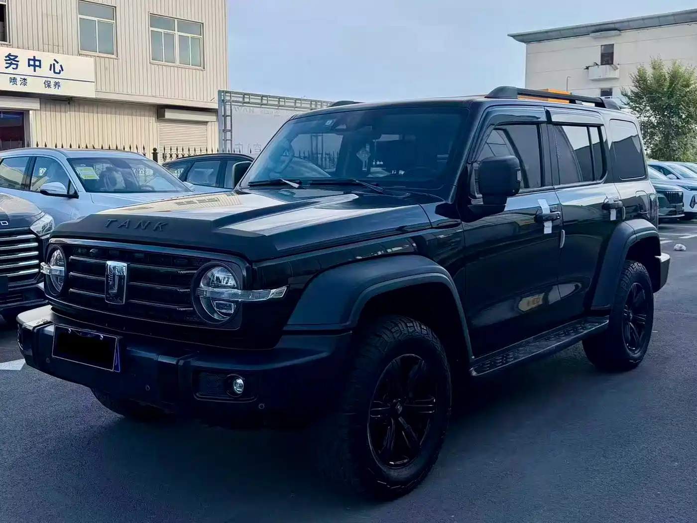 Tank 300 2021 Off-road Version 2.0T Conqueror