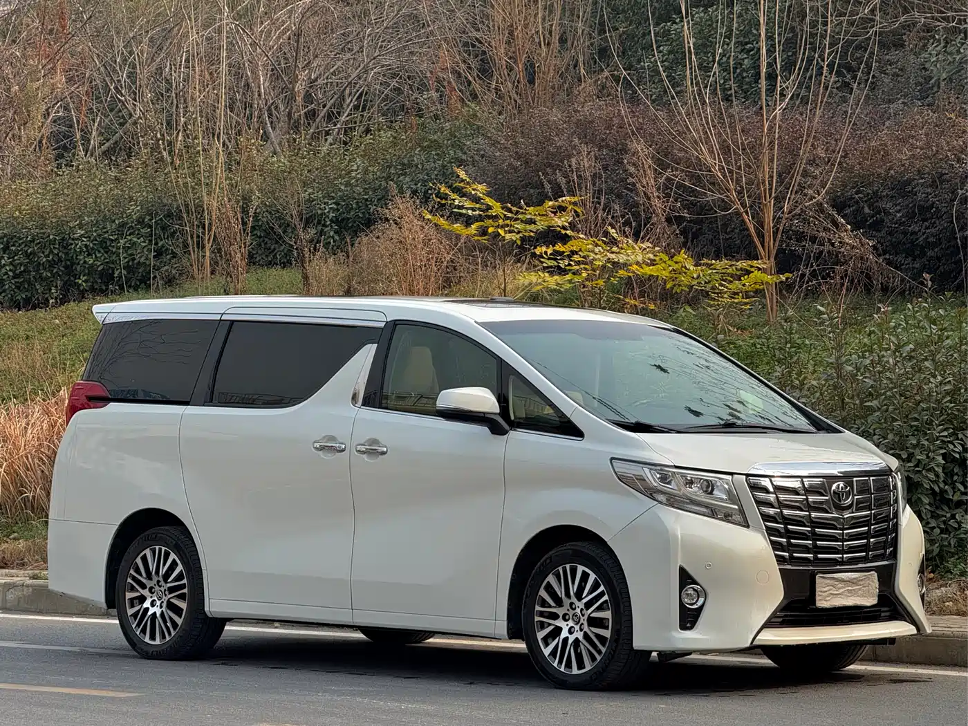 Toyota Alphard 2015 3.5L Premium Edition фото 4