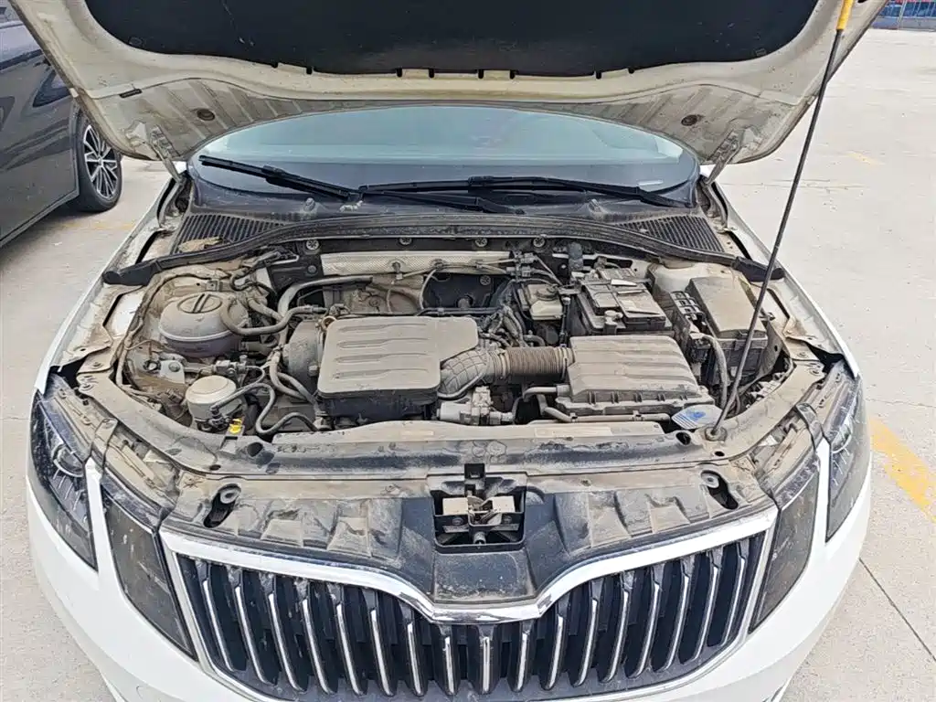 Škoda Octavia 2019 1.5L Automatic Smart Luxury China VI фото 20