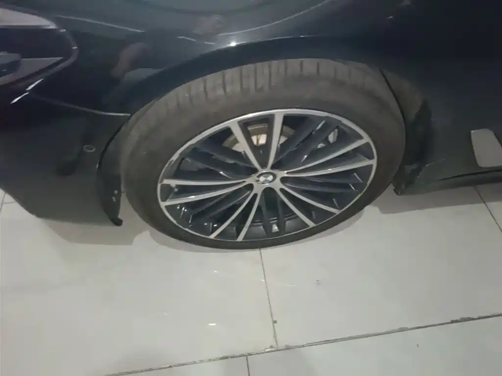 BMW 5 Series 2020 530Li Leading M Sport Package фото 23
