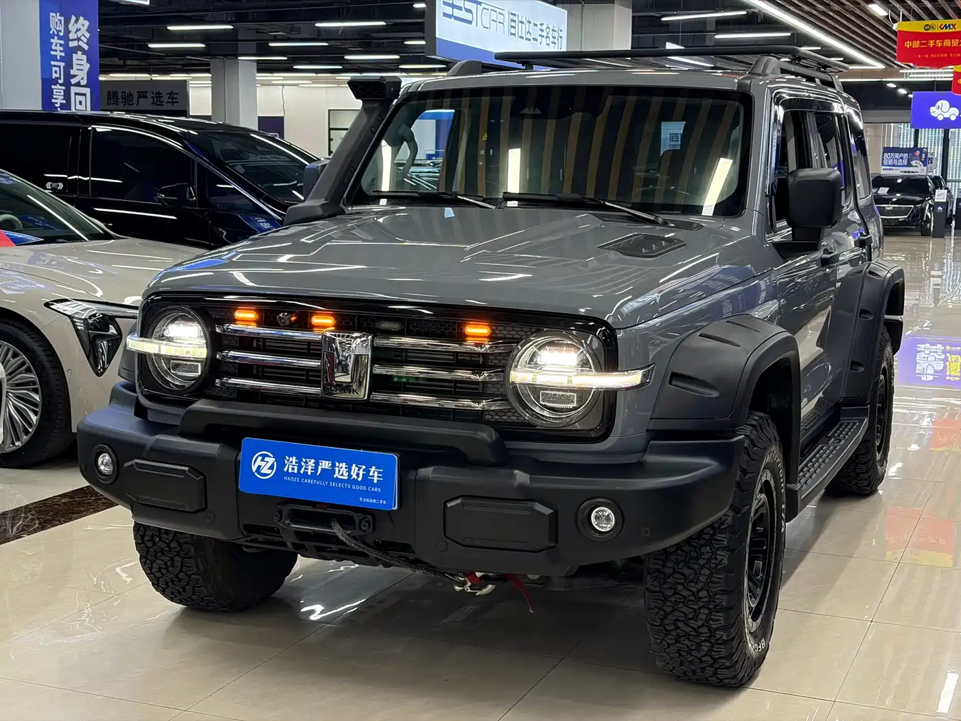 Tank 300 2022 2.0T Border Limited Edition
