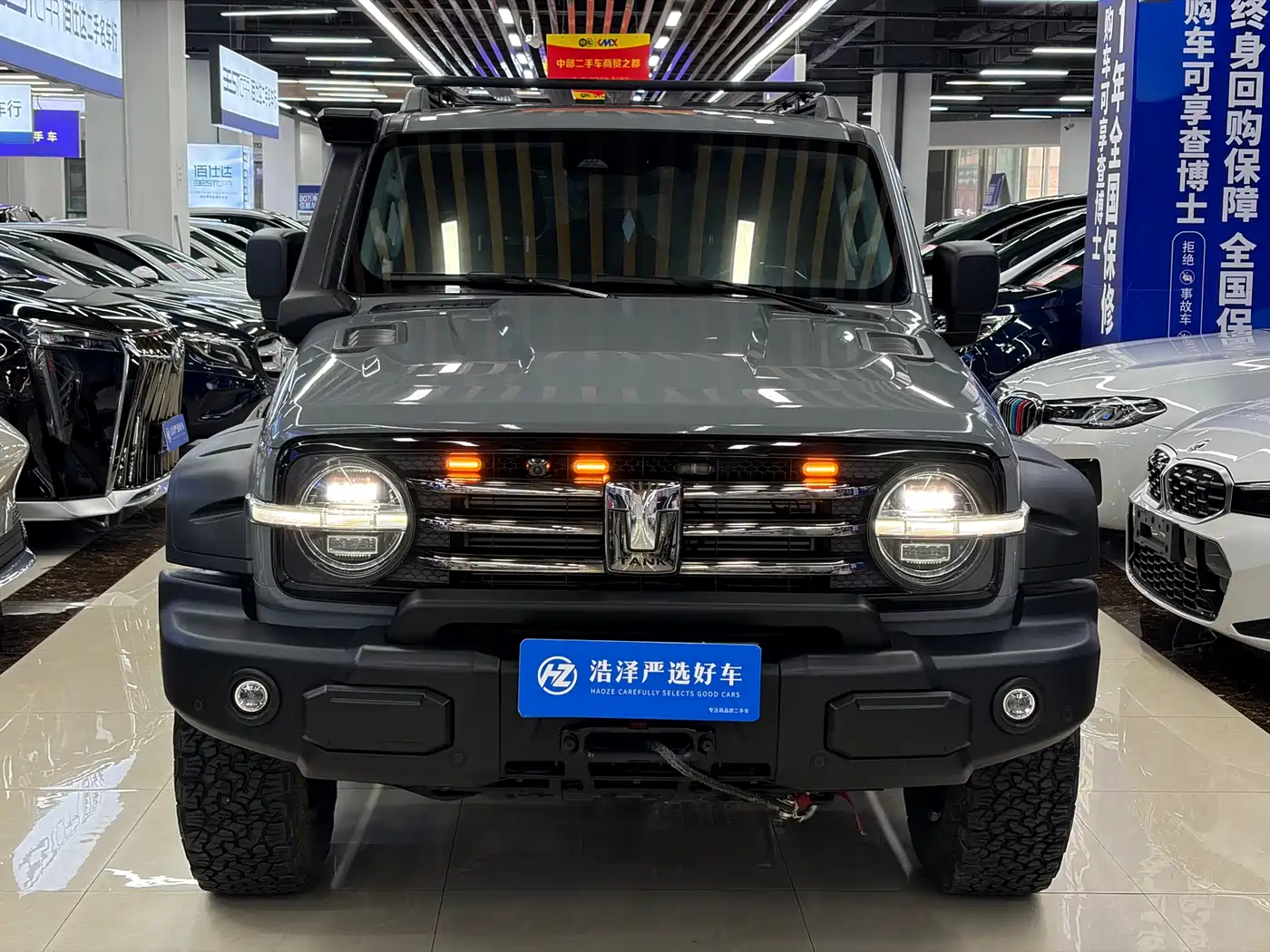 Tank 300 2022 2.0T Border Limited Edition фото 2