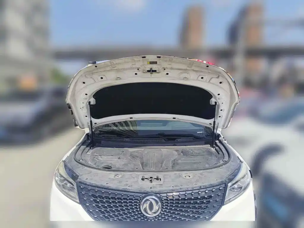 Dongfeng Fengguang Fengguang 580Pro 2020 2020 280TGDI CVT Intelligent Leader