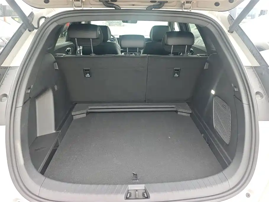 BYD Sealion 06 New Energy 2025 DM-i 170 Pilot Plus Edition фото 4