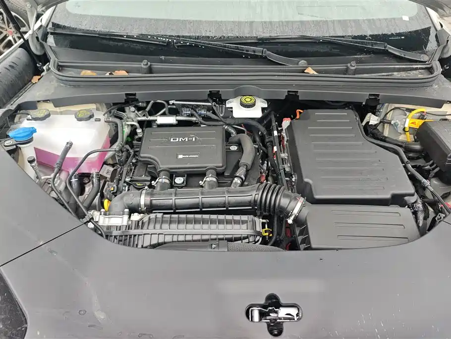 BYD Sealion 06 New Energy 2025 DM-i 170 Pilot Plus Edition фото 10