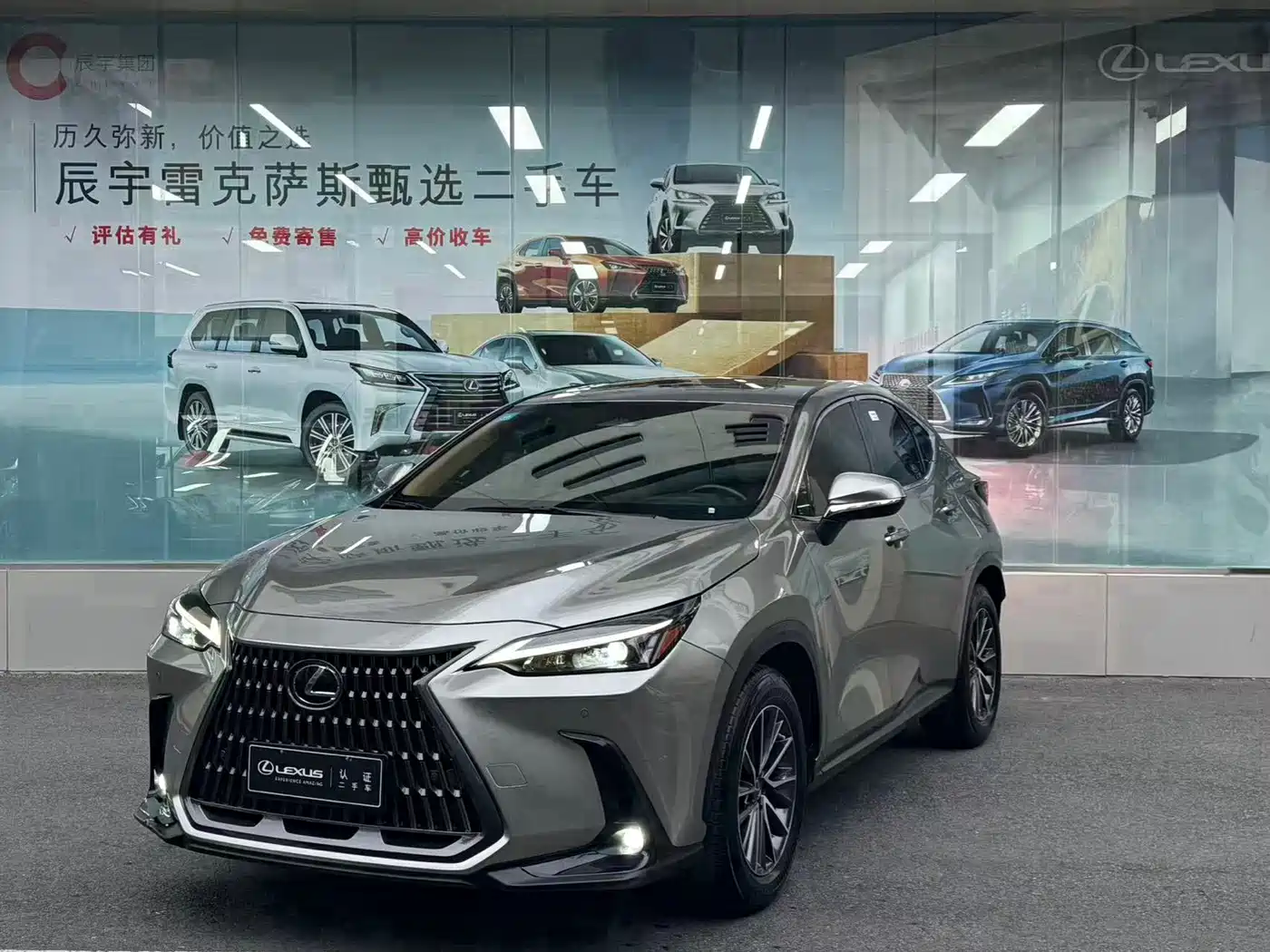 Lexus NX 2024 2023 260 FWD Joy Creation Edition