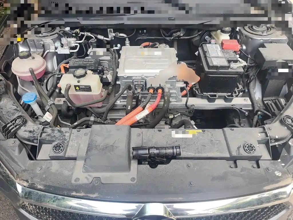 BYD e2 2022 2021 Luxury Edition