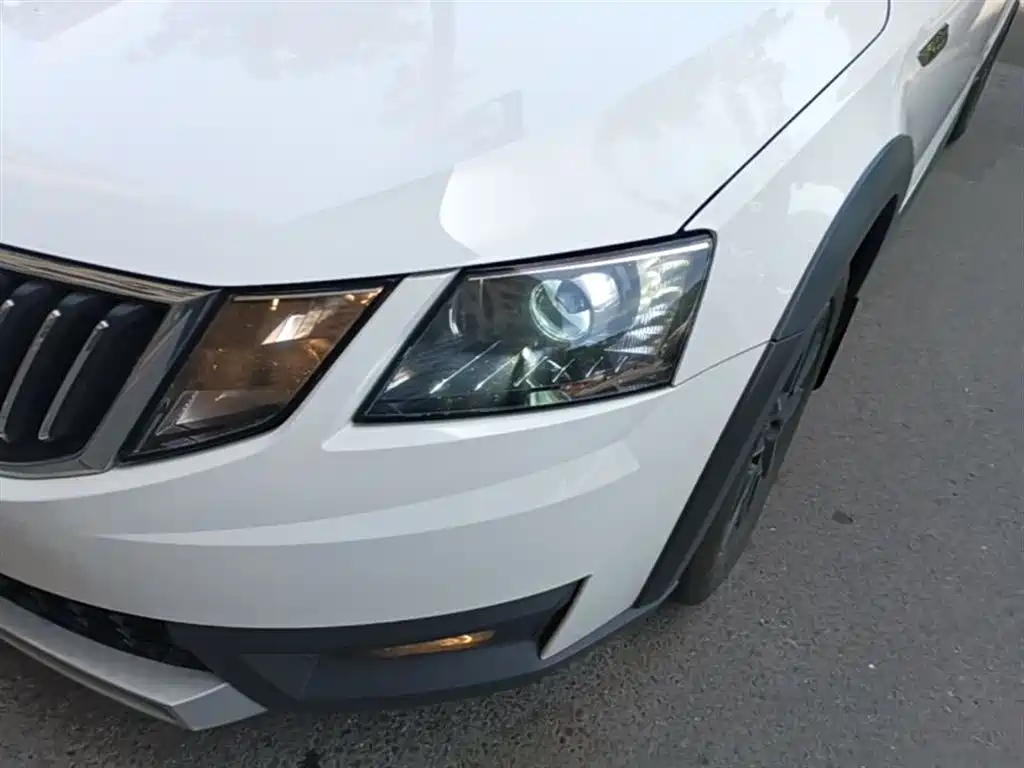 Škoda Octavia 2019 Wagon TSI230 DSG Luxury Edition China V фото 24
