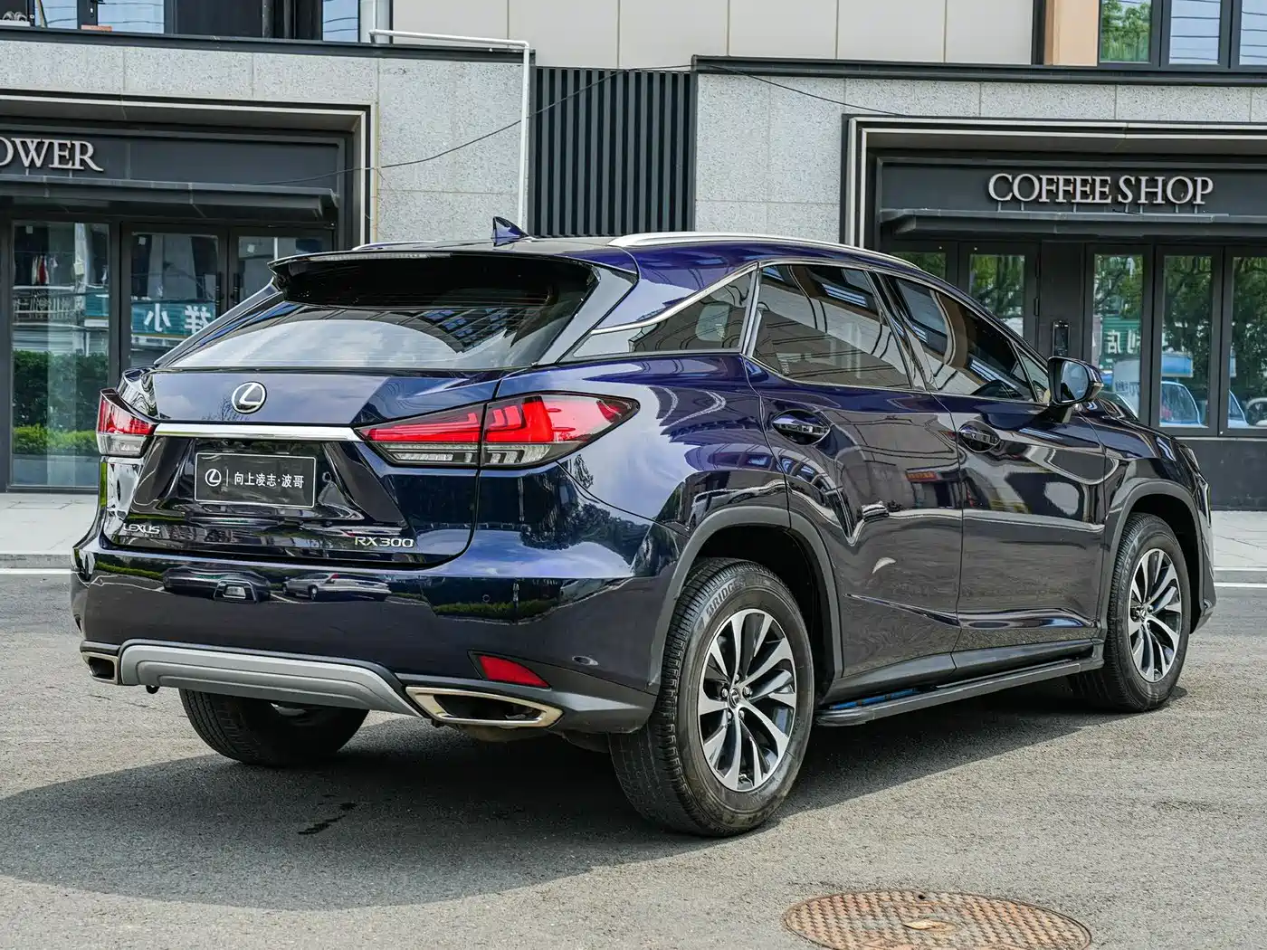 LEXUS RX