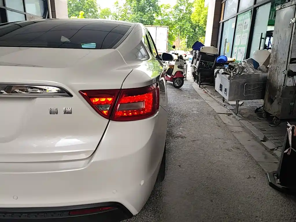 Фото 24 - Geely Borui