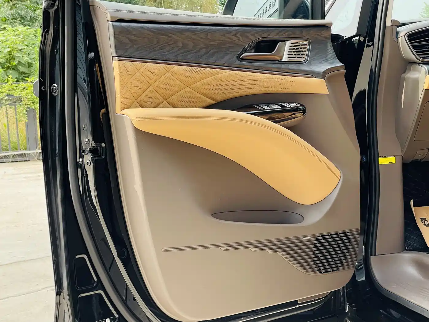 Фото 4 - Denza D9