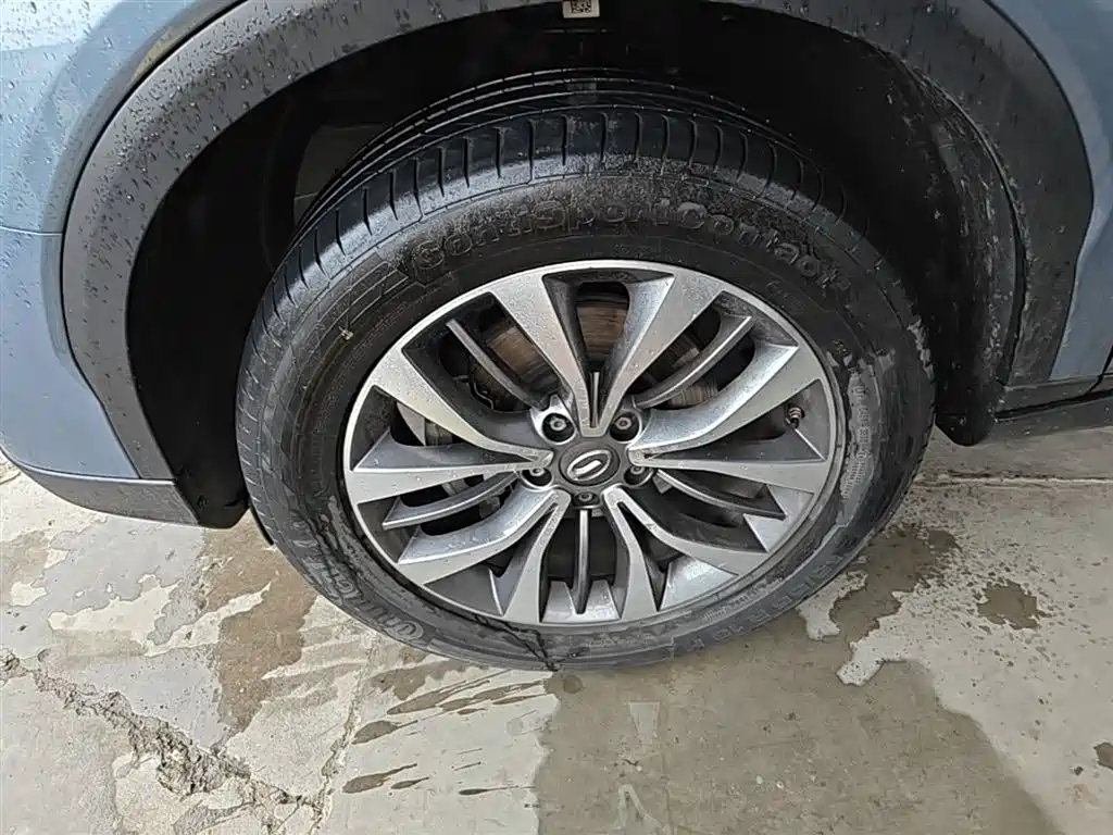GAC Trumpchi Trumpchi GS8 2017 320T AWD Luxury Smart Connect (7-Seater) фото 23
