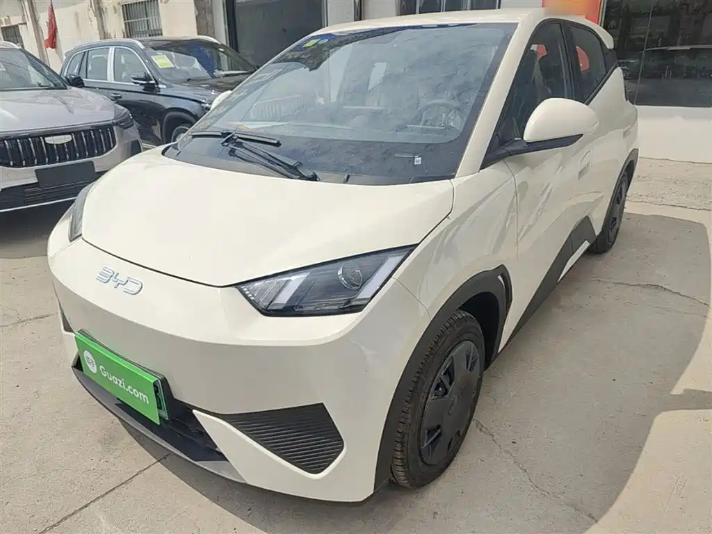 BYD Seagull 2025 Smart Drive Edition 305km Vitality Version