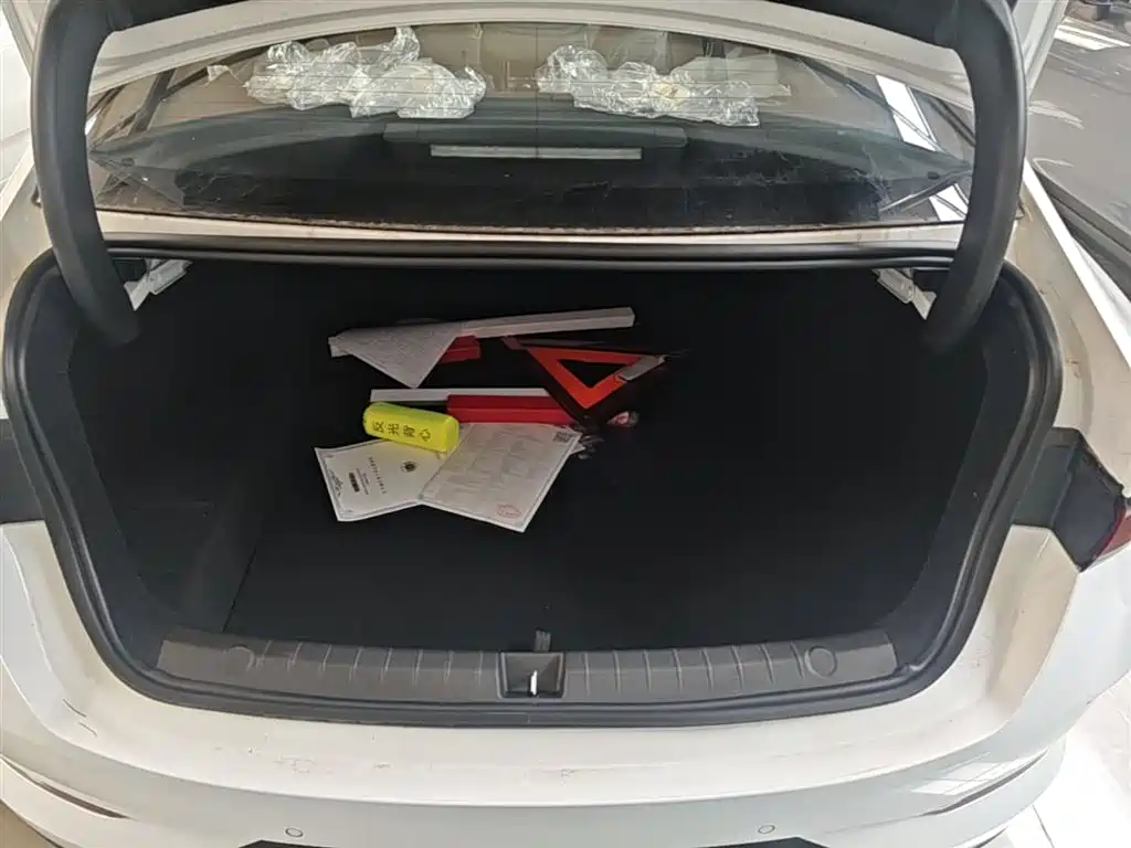 BYD Qin PLUS 2026 DM-i Smart Edition 128KM Progressive фото 19
