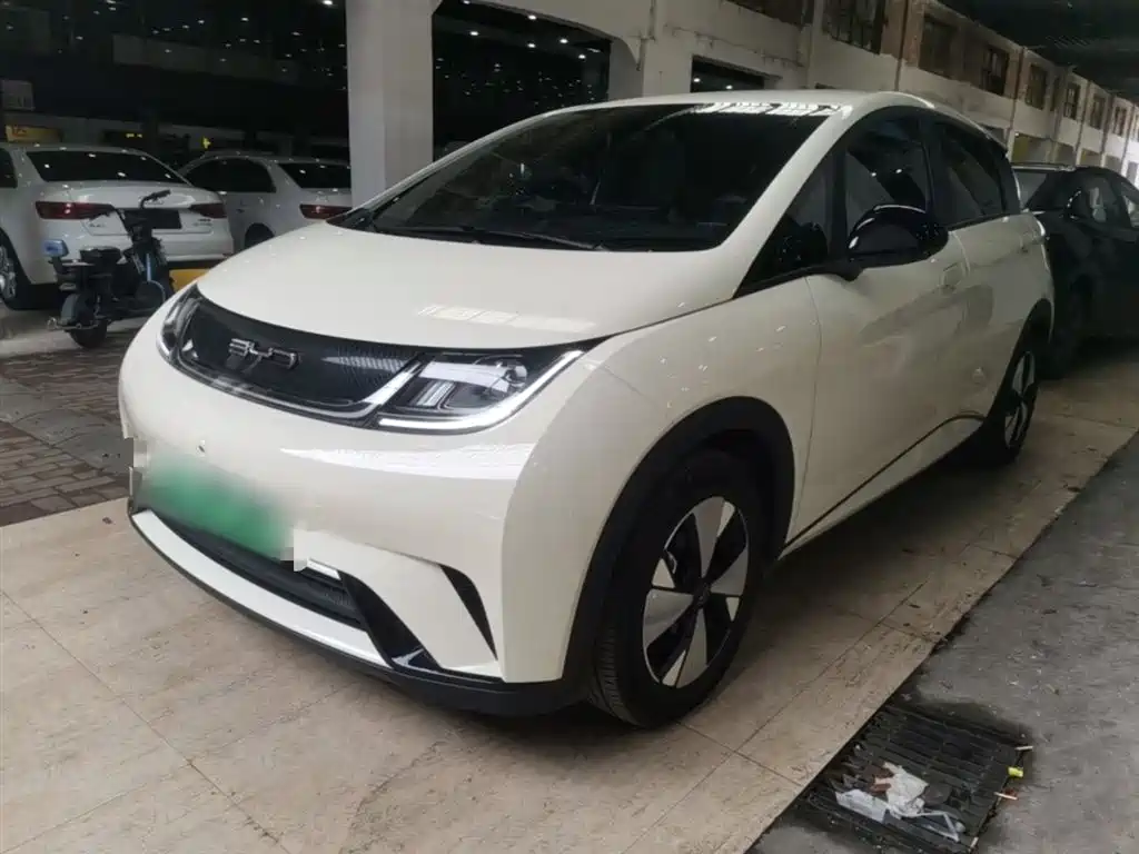 BYD Dolphin 2023 420km Freedom Edition