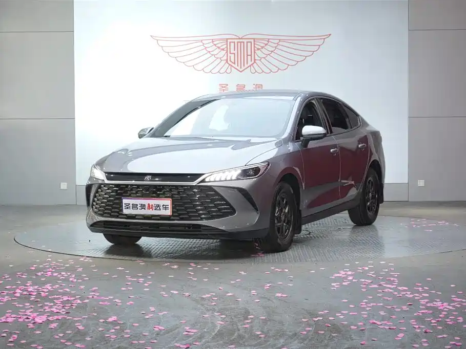 BYD Qin PLUS 2025 DM-i Smart Drive 55KM Leader