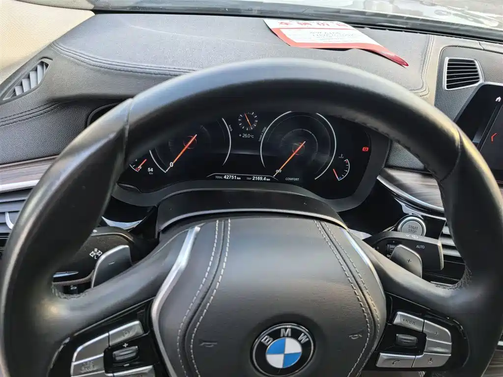 BMW 5 Series 2019 530Li Leading Luxury Package фото 4