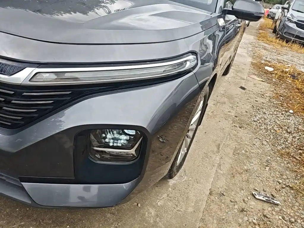 Baojun Valli 2021 2021 1.5T Dali Sky CVT Premium