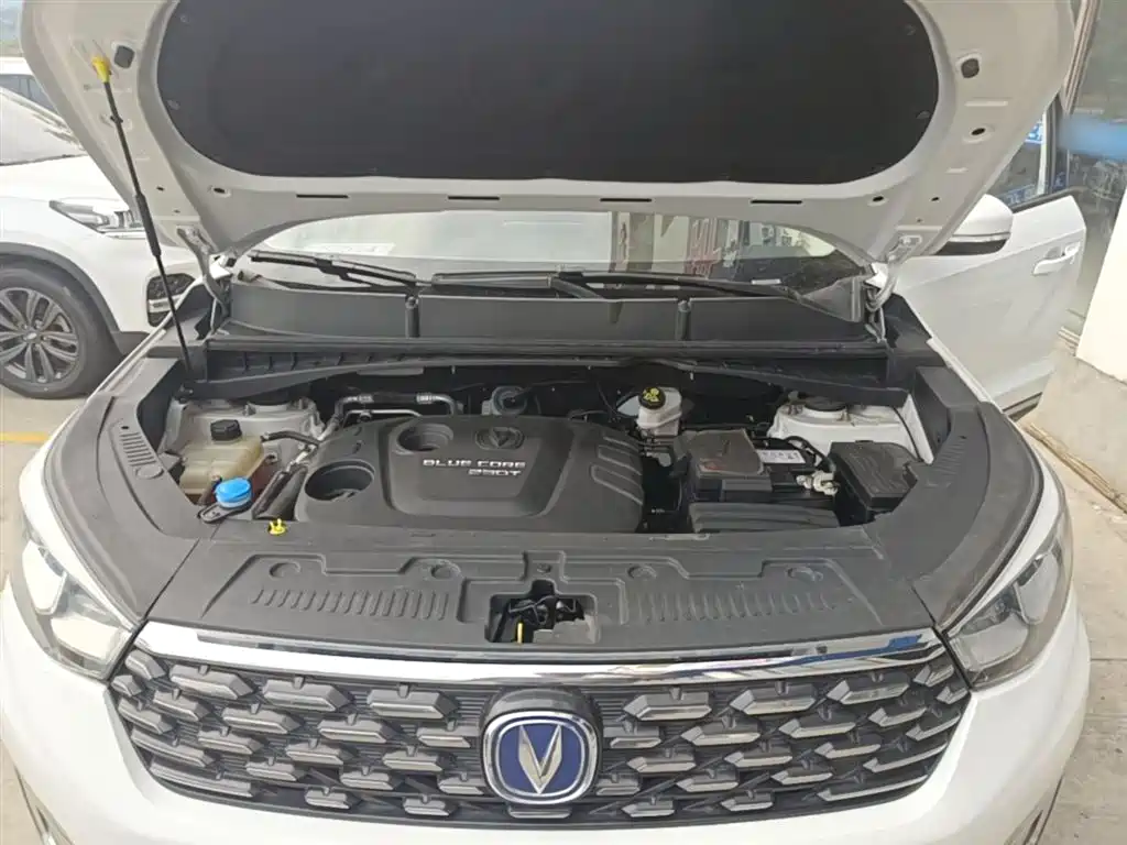 Changan CS55 2019 2018 1.5T Manual Colorful China V