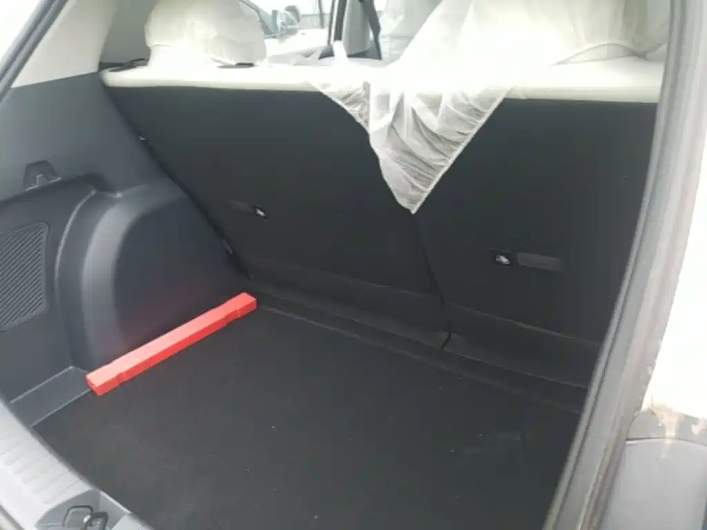 Geely Galaxy Starry Wish 2026 2026 Edition 310km Youth Version