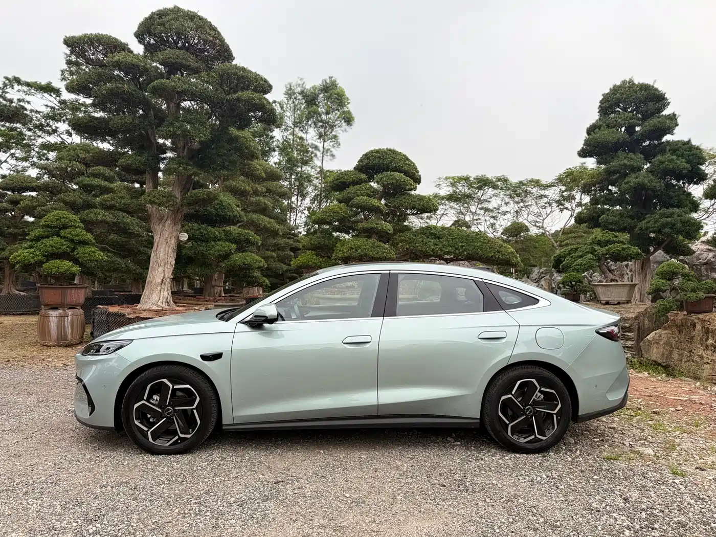 BYD SEAL 06 NEW ENERGY