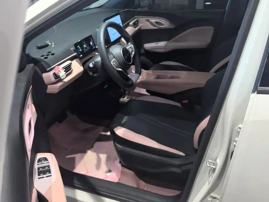 BYD Seagull 2026 2025 Smart Drive Edition 305km Vitality Version