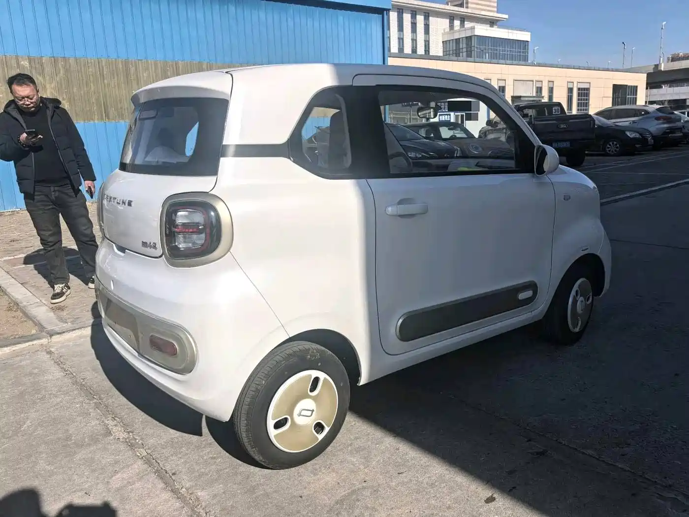 BESTUNE PENTIUM PONY