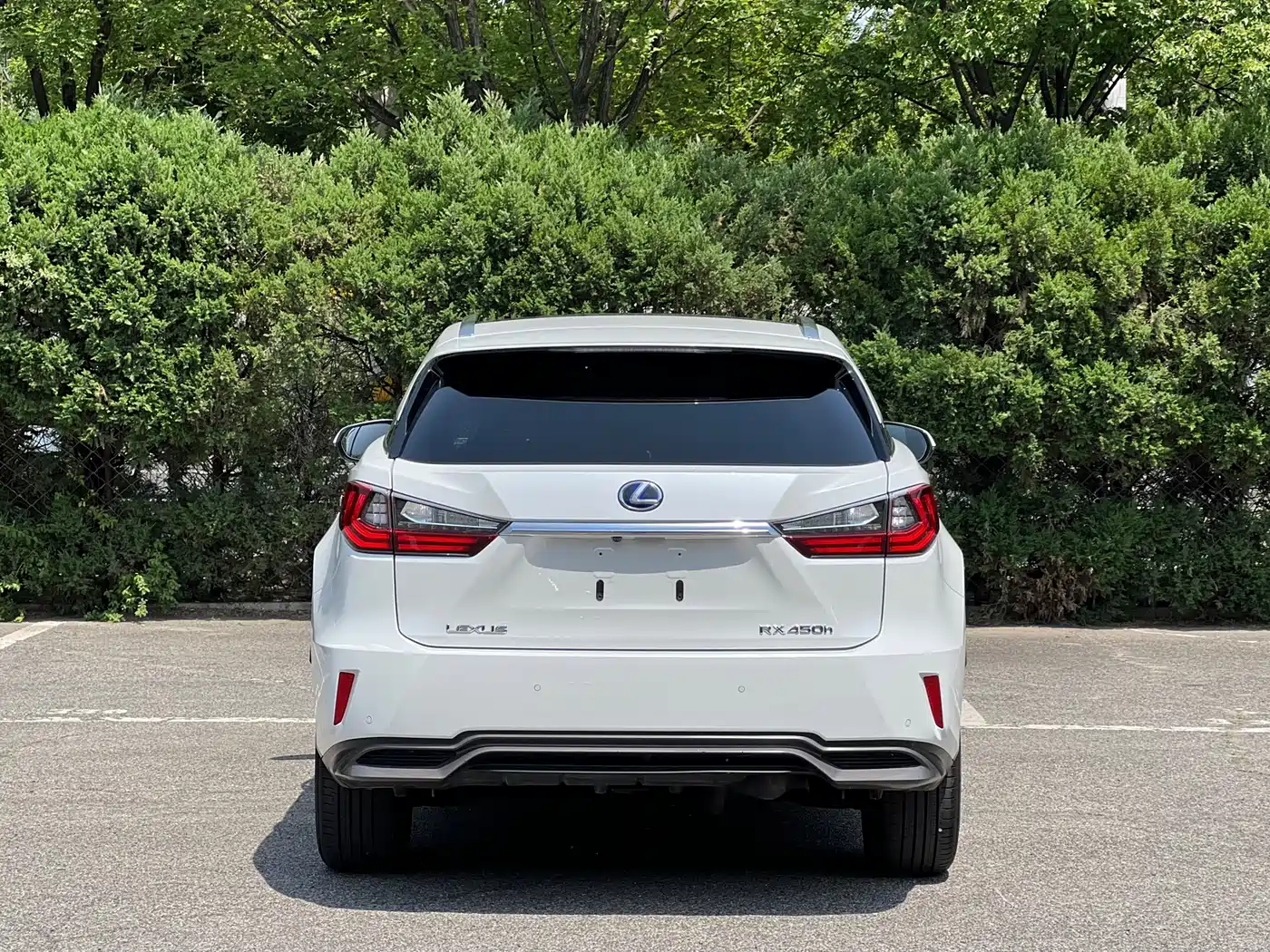 Lexus RX 2016 450h 4WD Luxury Edition фото 8