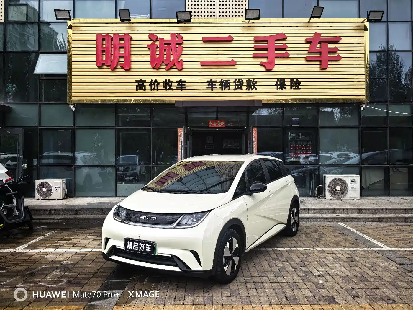 BYD Dolphin 2023
