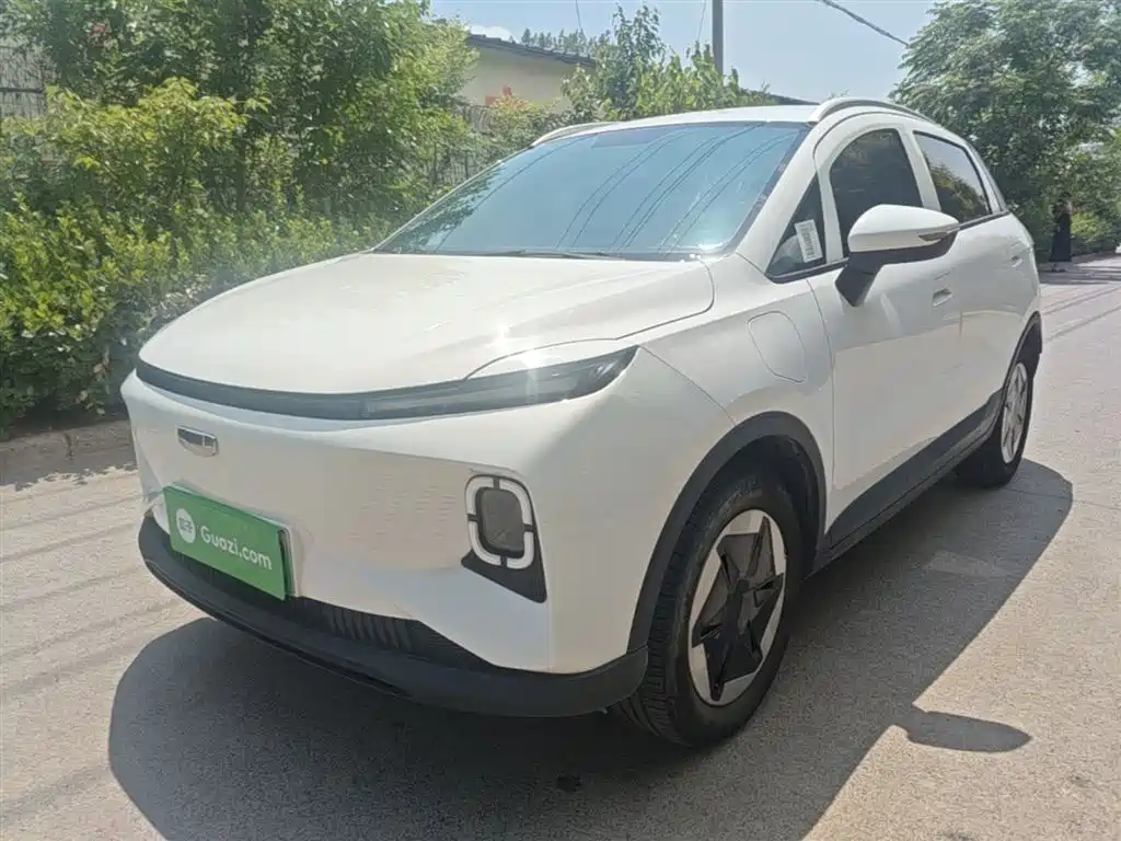 Geely Geometry E Firefly 2024 Model 301km Light Flow