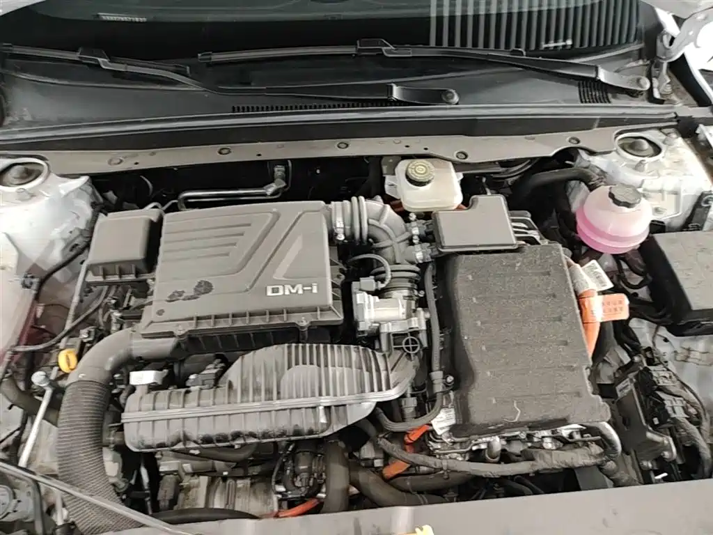 BYD Qin PLUS 2024 Glory Edition DM-i 55KM Leading фото 20
