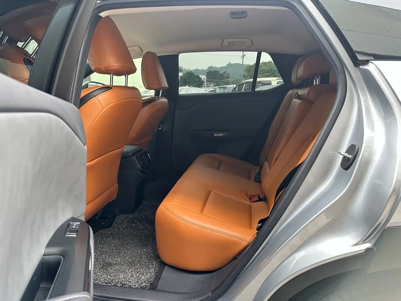 Lexus RZ 2023 450e 4WD Expedition Edition фото 8