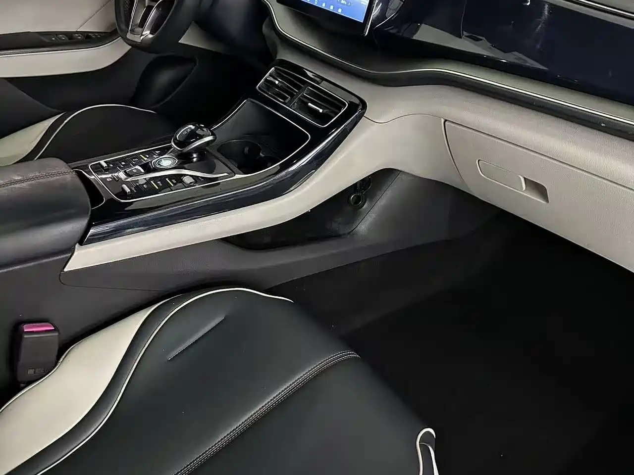 BYD Qin PLUS 2021 EV 500KM Luxury Model фото 22