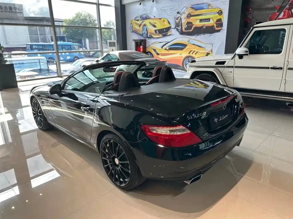 Mercedes-Benz SLK-Class 2011 SLK 200 Luxury Sport фото 3