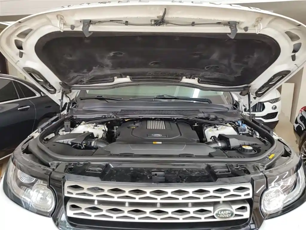 Land Rover Range Rover Sport 2015 3.0 SDV6 HSE фото 20