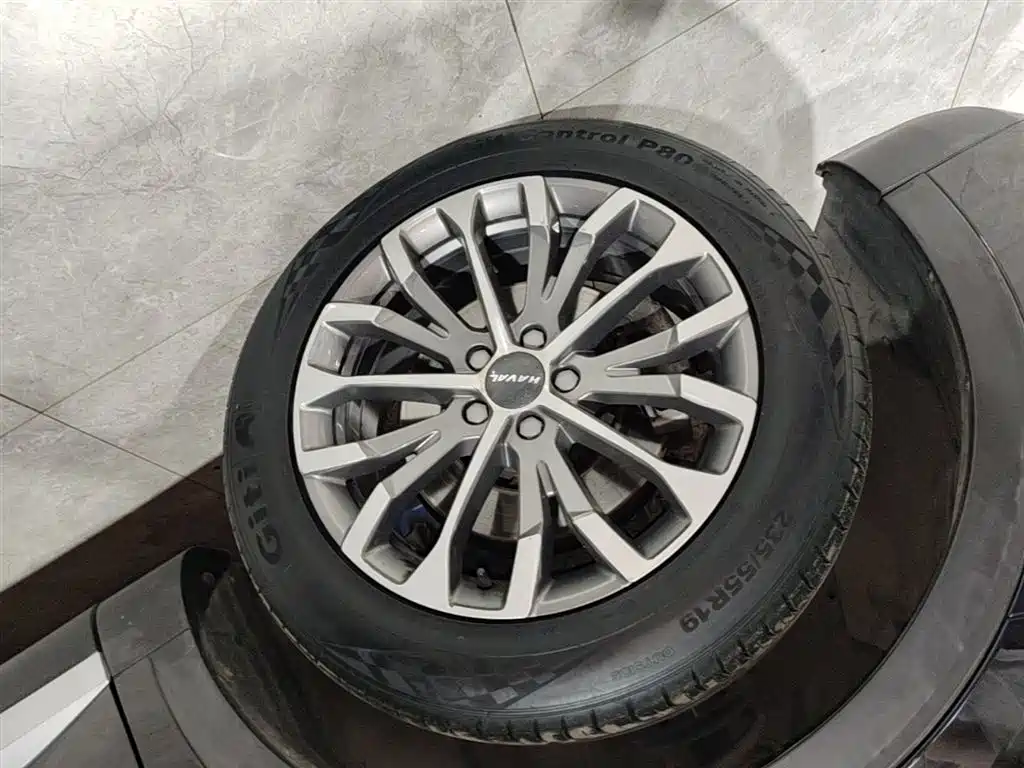 Haval H6 2020 2.0GDIT Automatic Platinum Champion Edition фото 23