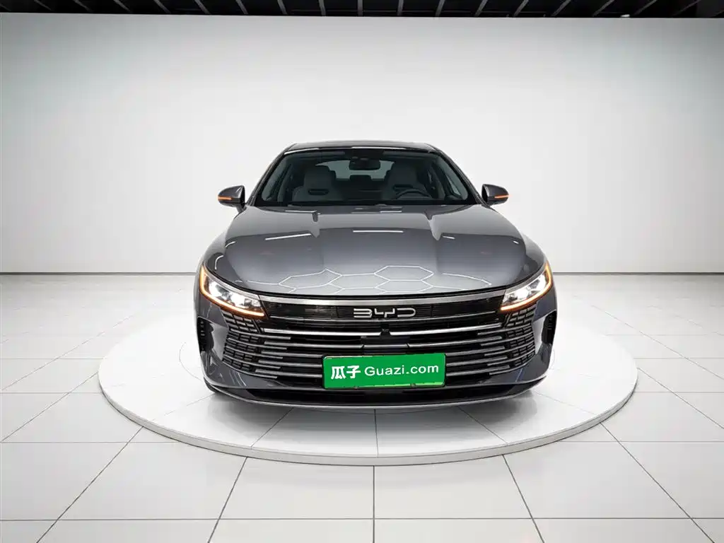 BYD Destroyer 05 2024 Glory Edition DM-i 55KM Luxury фото 3