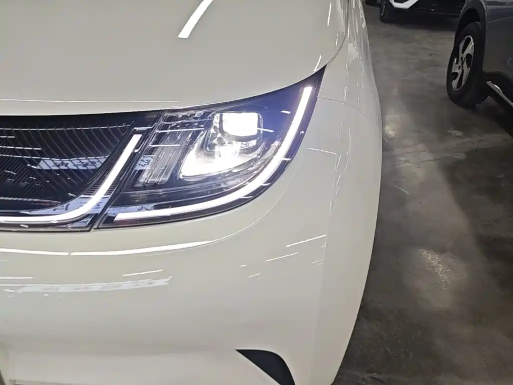 BYD Dolphin 2026 2025 420km Freedom Edition