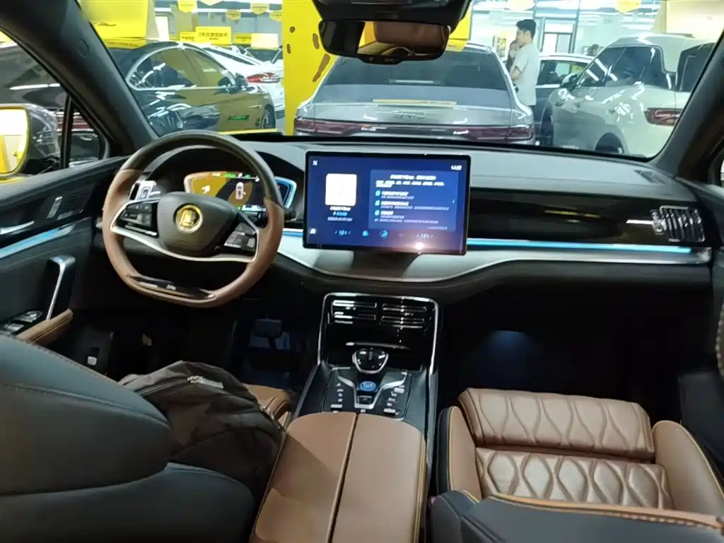 BYD Tang New Energy 2021 DM-i 112KM Honor фото 10