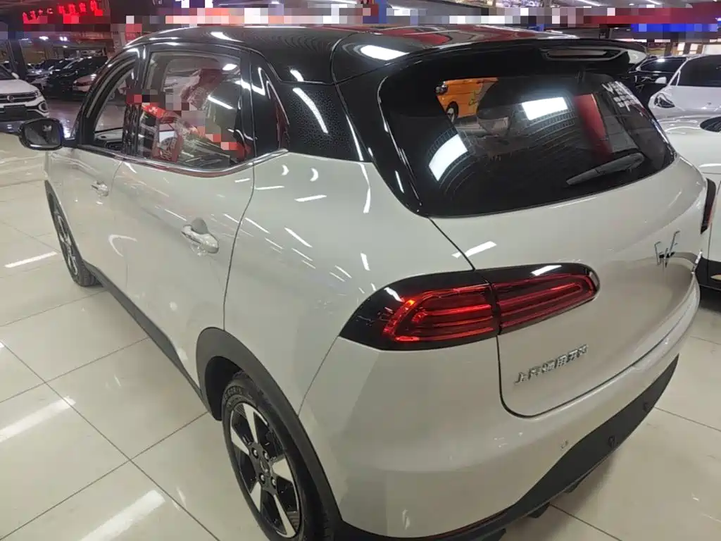 Wuling Motors Wuling Binguo PLUS 2026 2024 401km Range 5-seater