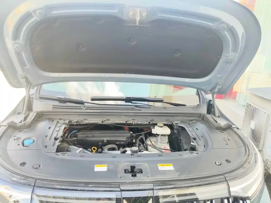 Voyah Auto Voyah Dreamer 2022 2022 Low Carbon Edition Home
