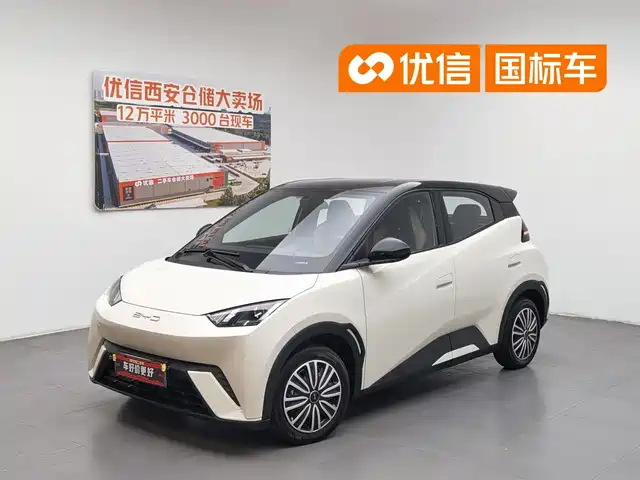  BYD Seagull 2023 Vitality Edition