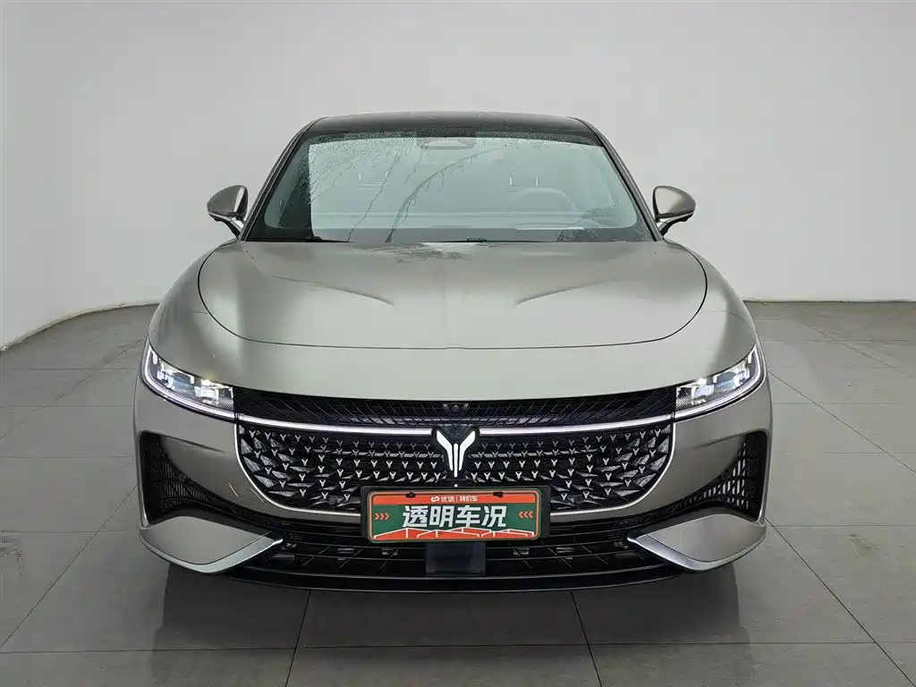 Voyah Auto VOYAH Zhuiguang 2024 PHEV AWD Ultra Long Range Flagship фото 3
