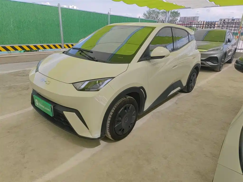 BYD Seagull 2024 Glory Edition 305km Vitality Edition фото 2