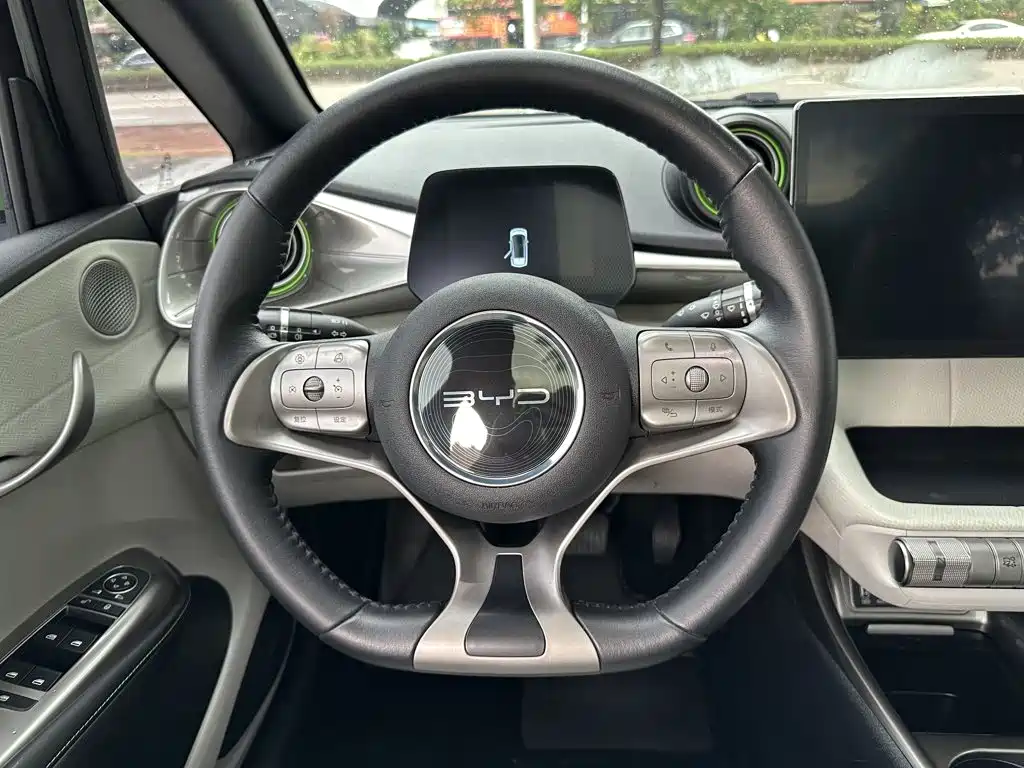 Фото 3 - BYD Dolphin