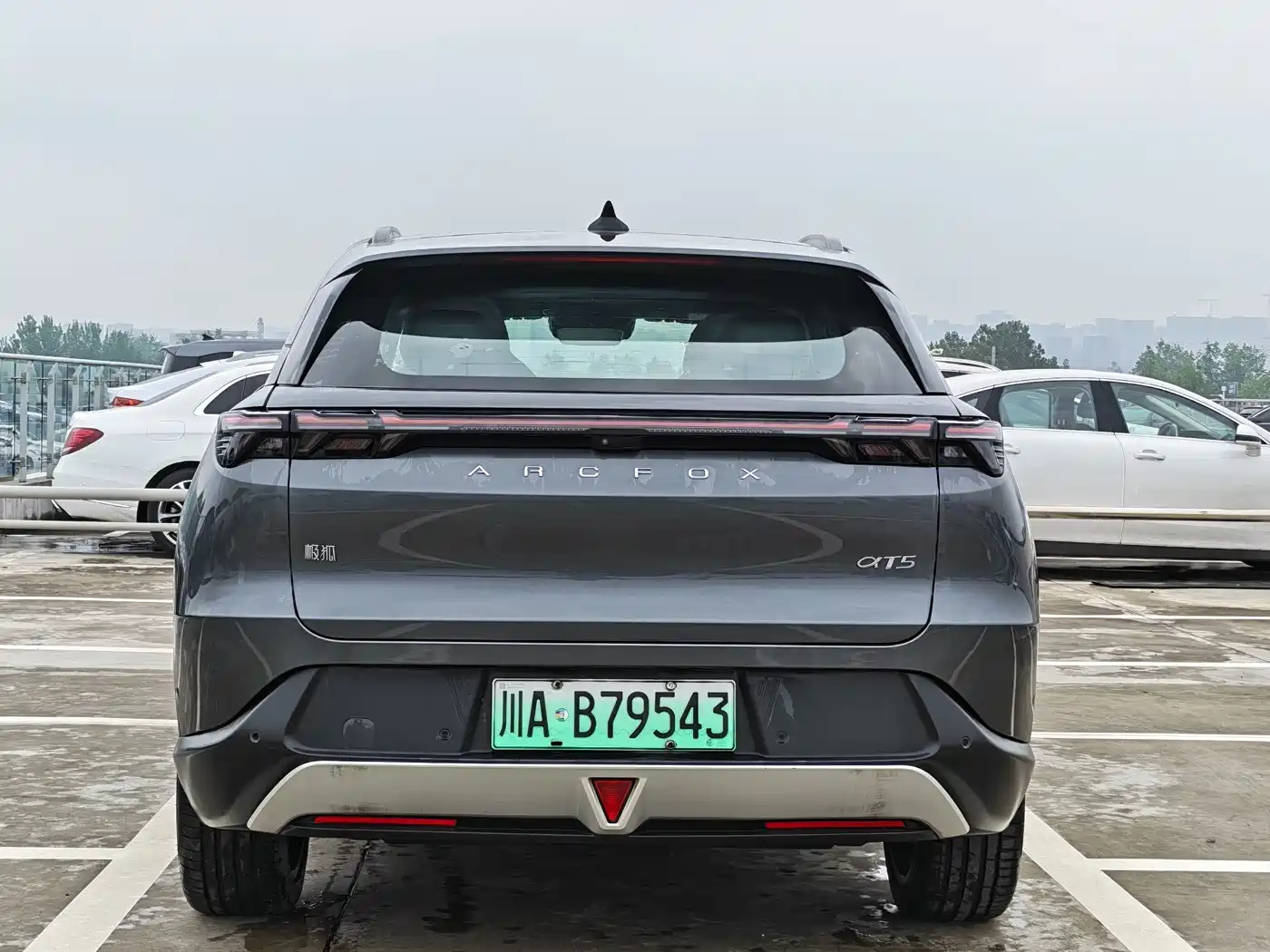 ARCFOX EXTREME FOX POLAR FOX ALPHA T5